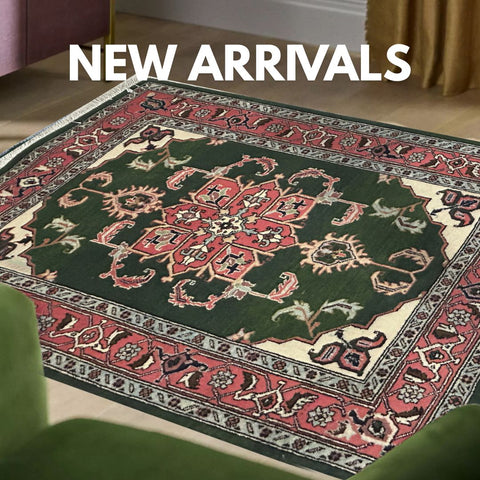 Discover our latest additions
