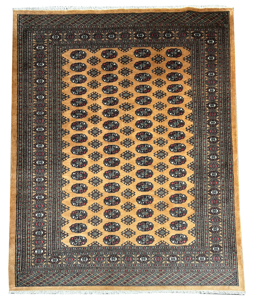 Aleen  / 6'3 x 8'10
