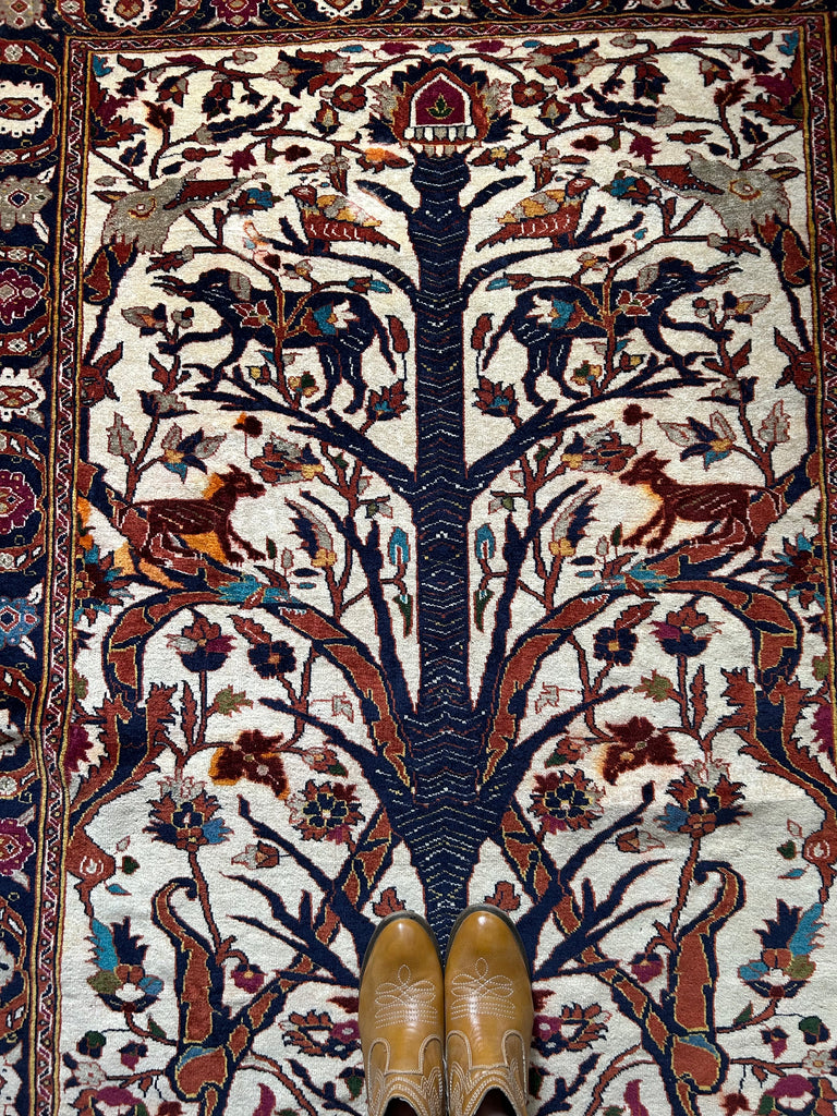 Tree Of life