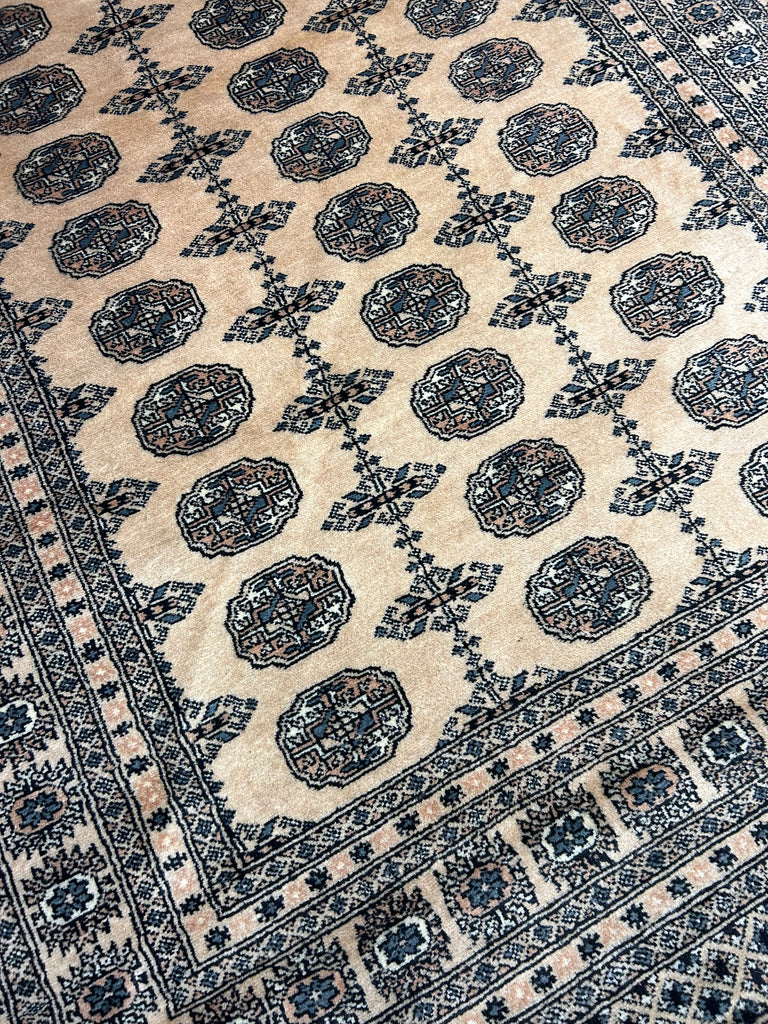 Dena / 8'6" x5' 2'