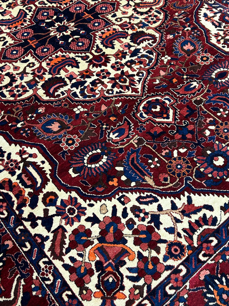 Homa  10'5" x 7'2"