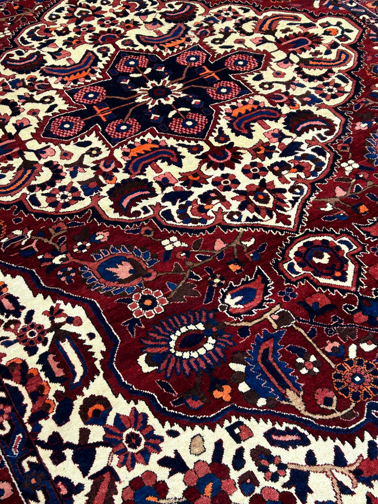 Homa  10'5" x 7'2"