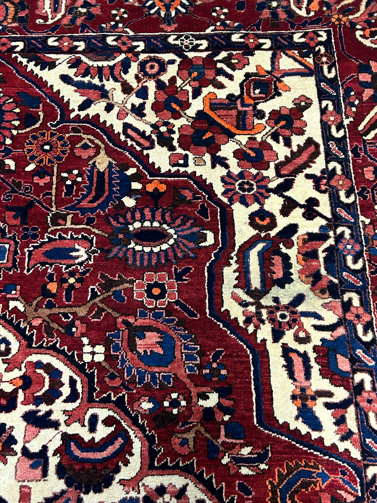 Homa  10'5" x 7'2"