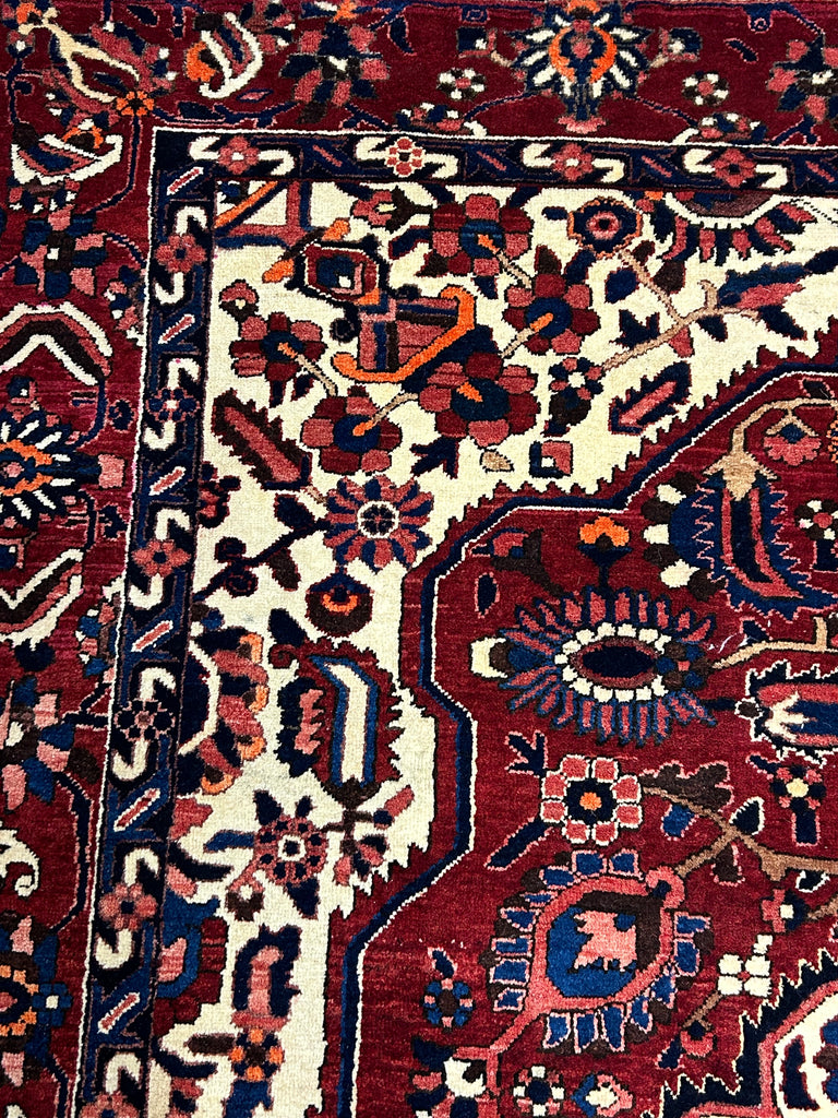 Homa  10'5" x 7'2"