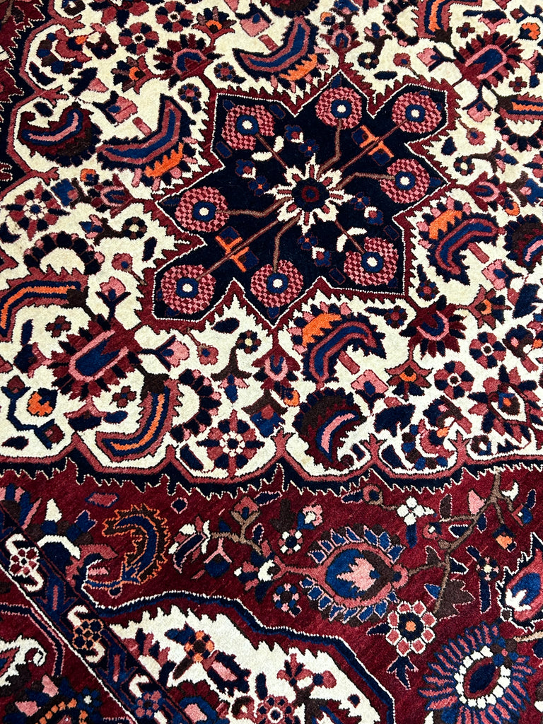 Homa  10'5" x 7'2"