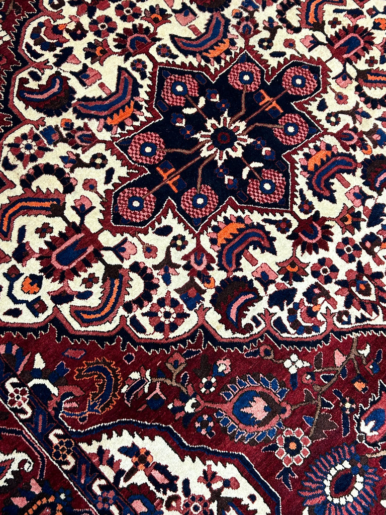 Homa  10'5" x 7'2"