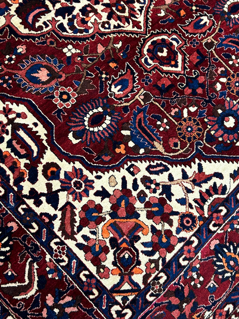 Homa  10'5" x 7'2"