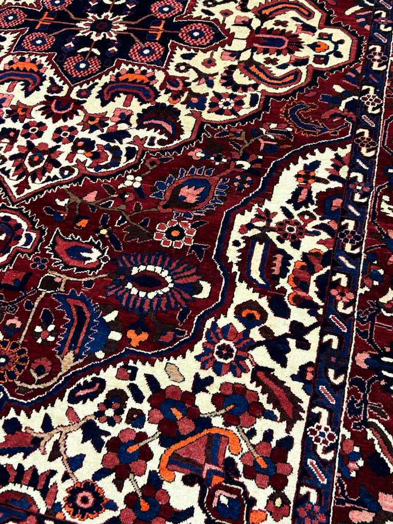 Homa  10'5" x 7'2"