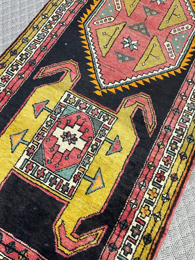 Soleil 3'.5" x 13'.3"