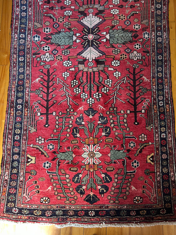 Elena 3'4" x 13'7"