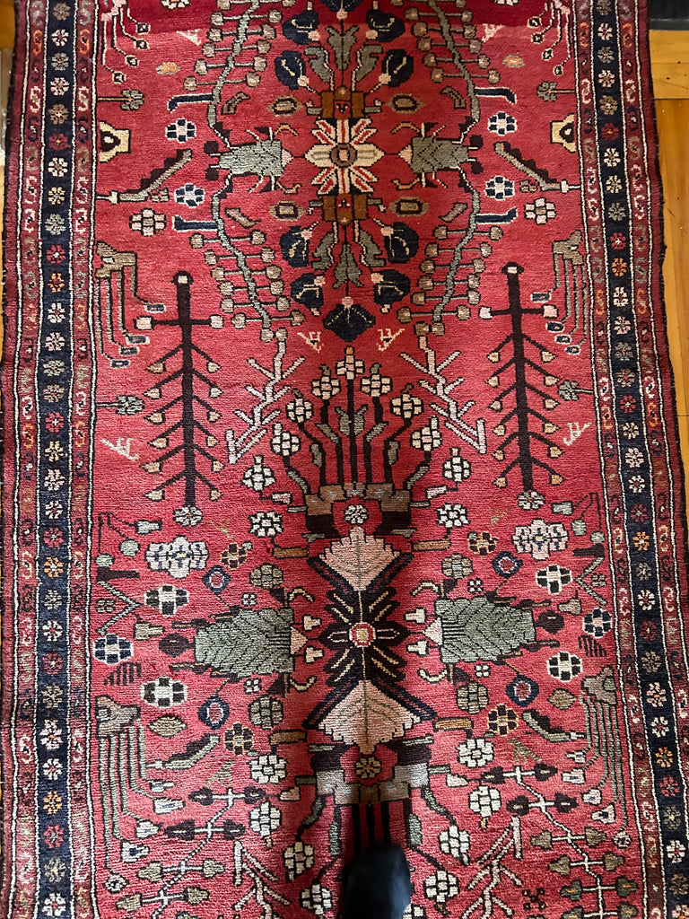 Elena 3'4" x 13'7"