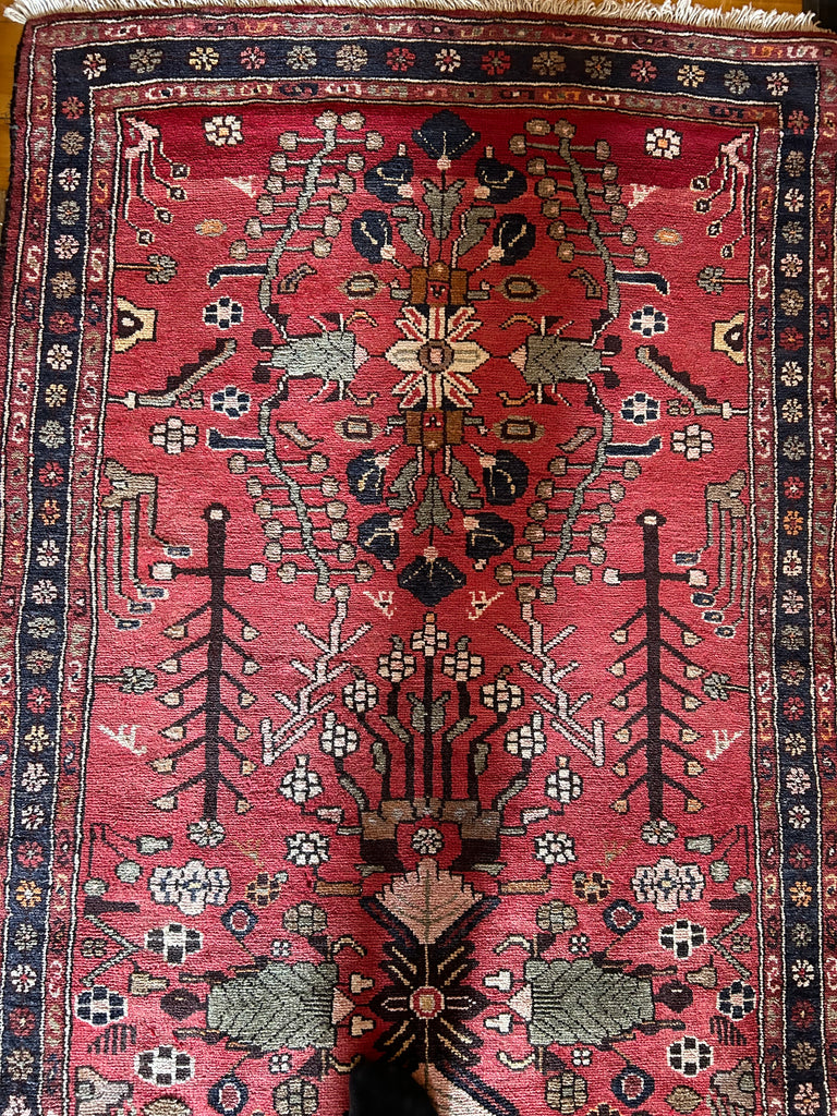 Elena 3'4" x 13'7"